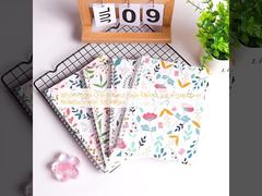 สมุดโน้ตปกแข็งแบบเกลียวพร้อมหน้ากระดาษขาว 100 หน้า